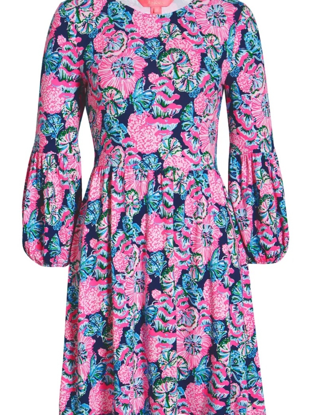 Lilly Pulitzer Auralia Floral Fit & Flare Dress, M